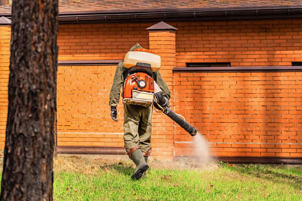 Bed Bug Clearance Verification and Documentation in Landover